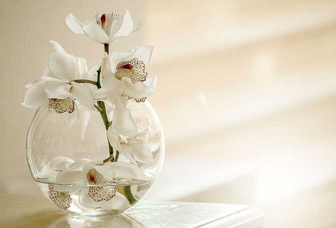 White flowers in a vase with water (Menopause Clinic Liverpool)