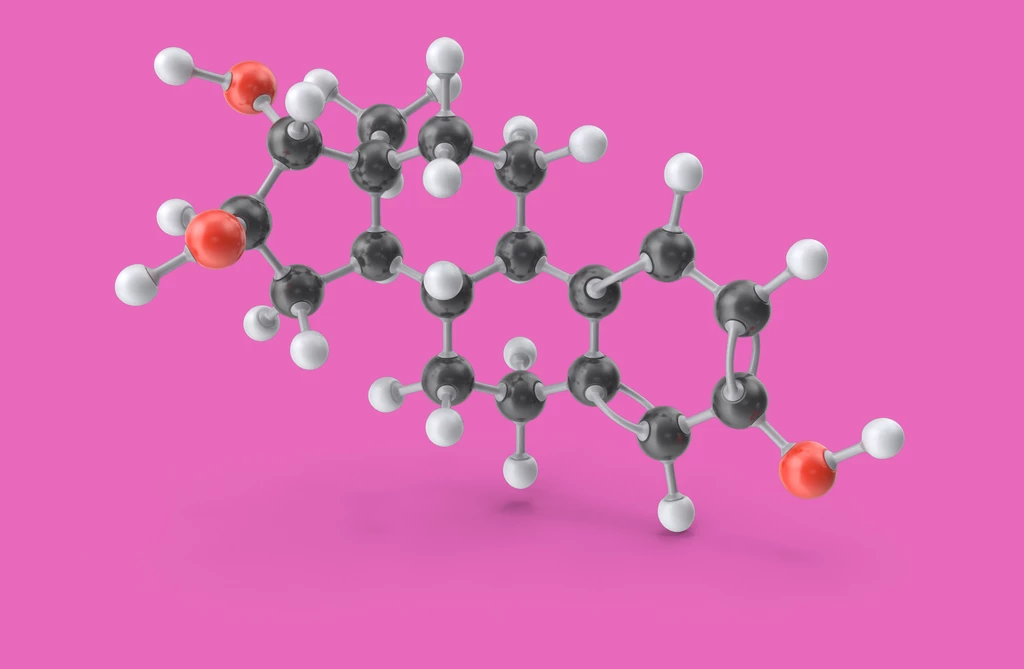 oestrogen molecule